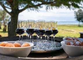 wine tasting in dubrovnik