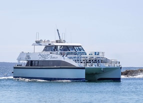 cruise to twofold bay catamaran