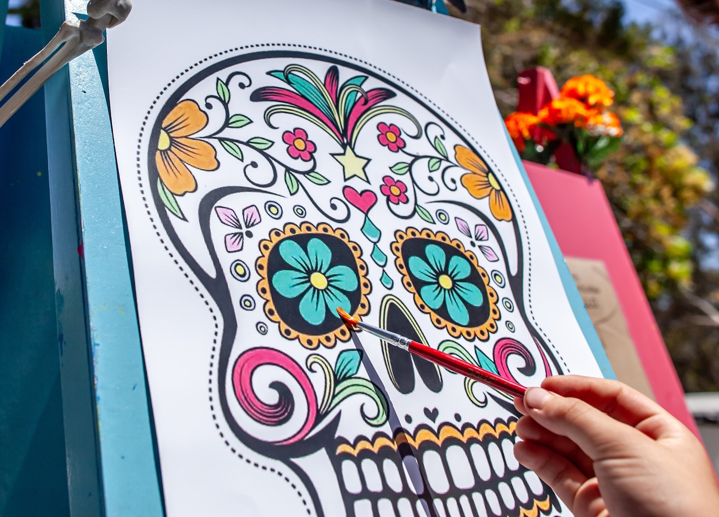 Colorful Day of the Dead artwork features a vibrant skull surrounded by intricate floral patterns. - La Paz, Mexico
