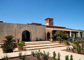 vineyard falconry harriss hawk encounter and wine tasting buidling