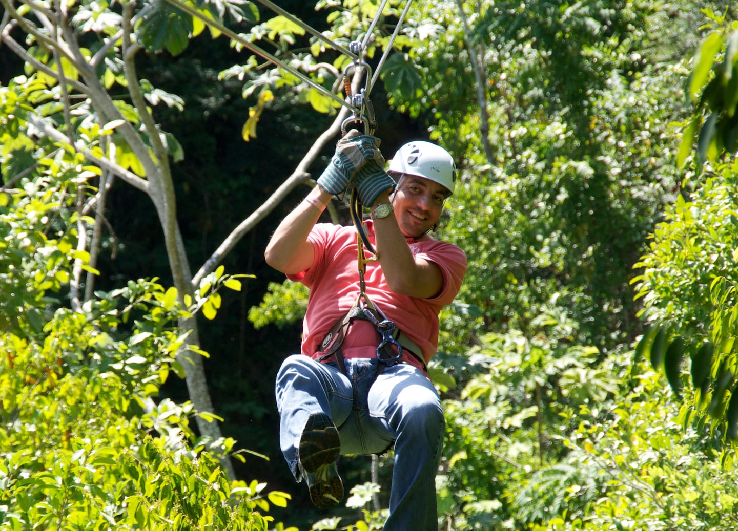 Soar over Falmouth’s tropical forests and rivers on a thrilling zipline adventure through Jamaica’s lush canopy. - Falmouth, Jamaica