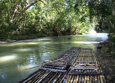bamboo rafts prepared ready for a popular tourist day trip on the martha brae river falmouth