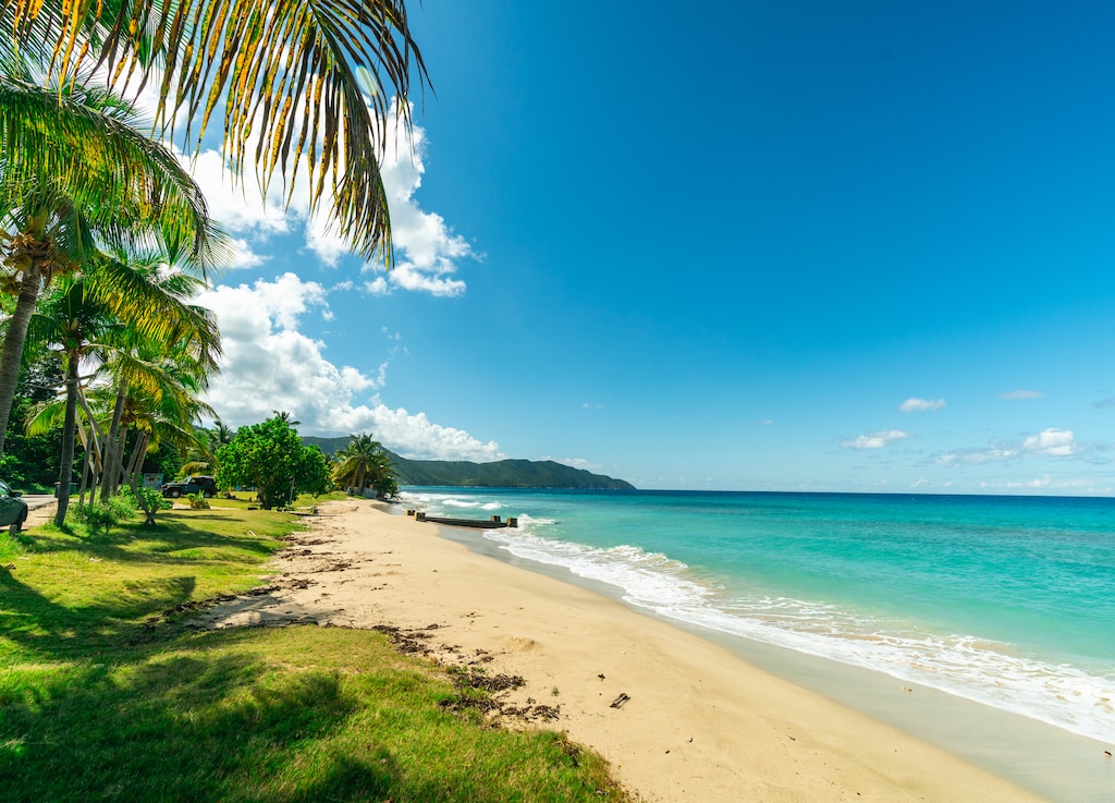 The Best Time to Visit Jamaica: A Seasonal Guide