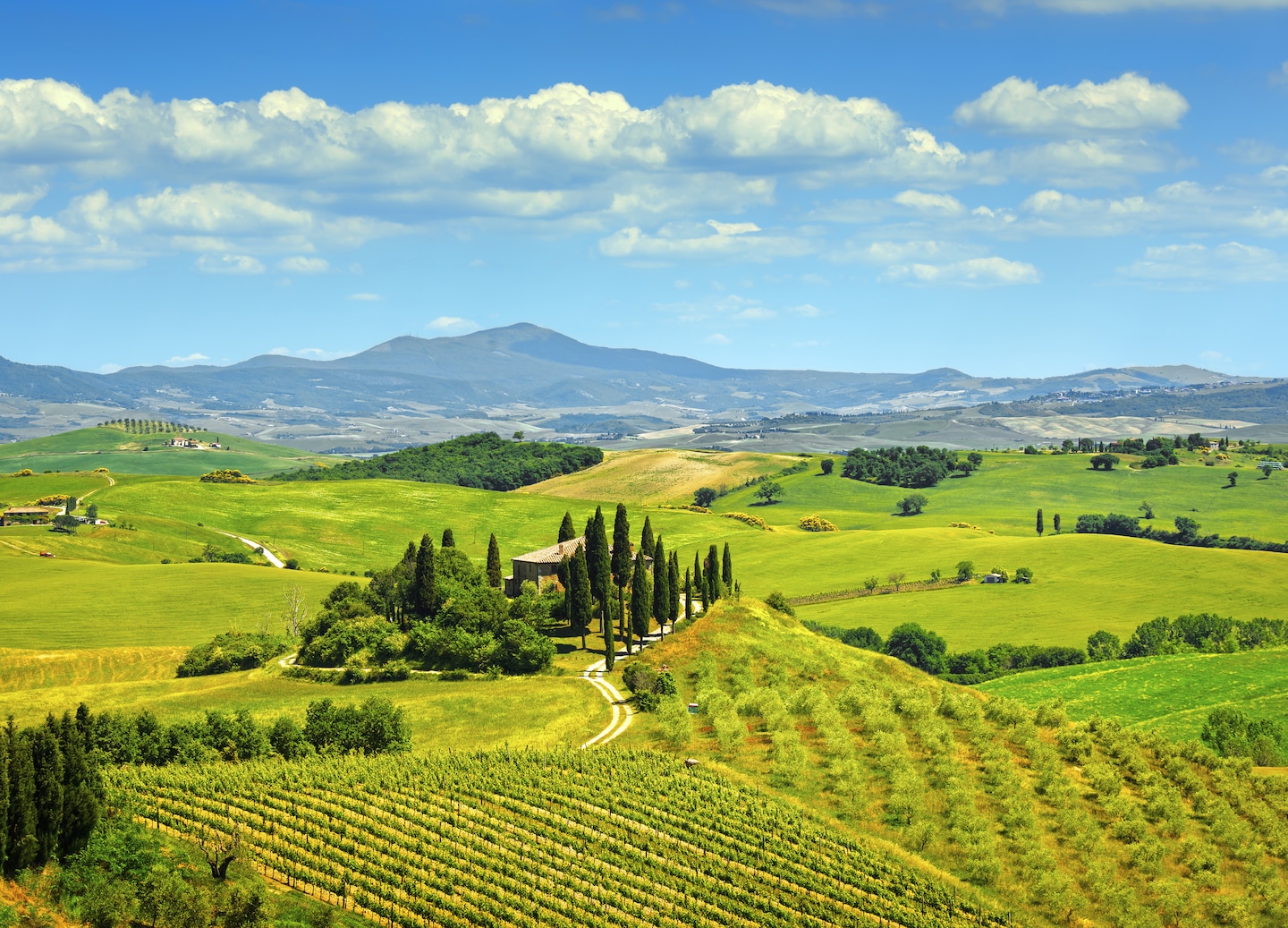 Rolling Tuscan farmland dotted with cypress trees under soft afternoon light. - Tuscany, Italy