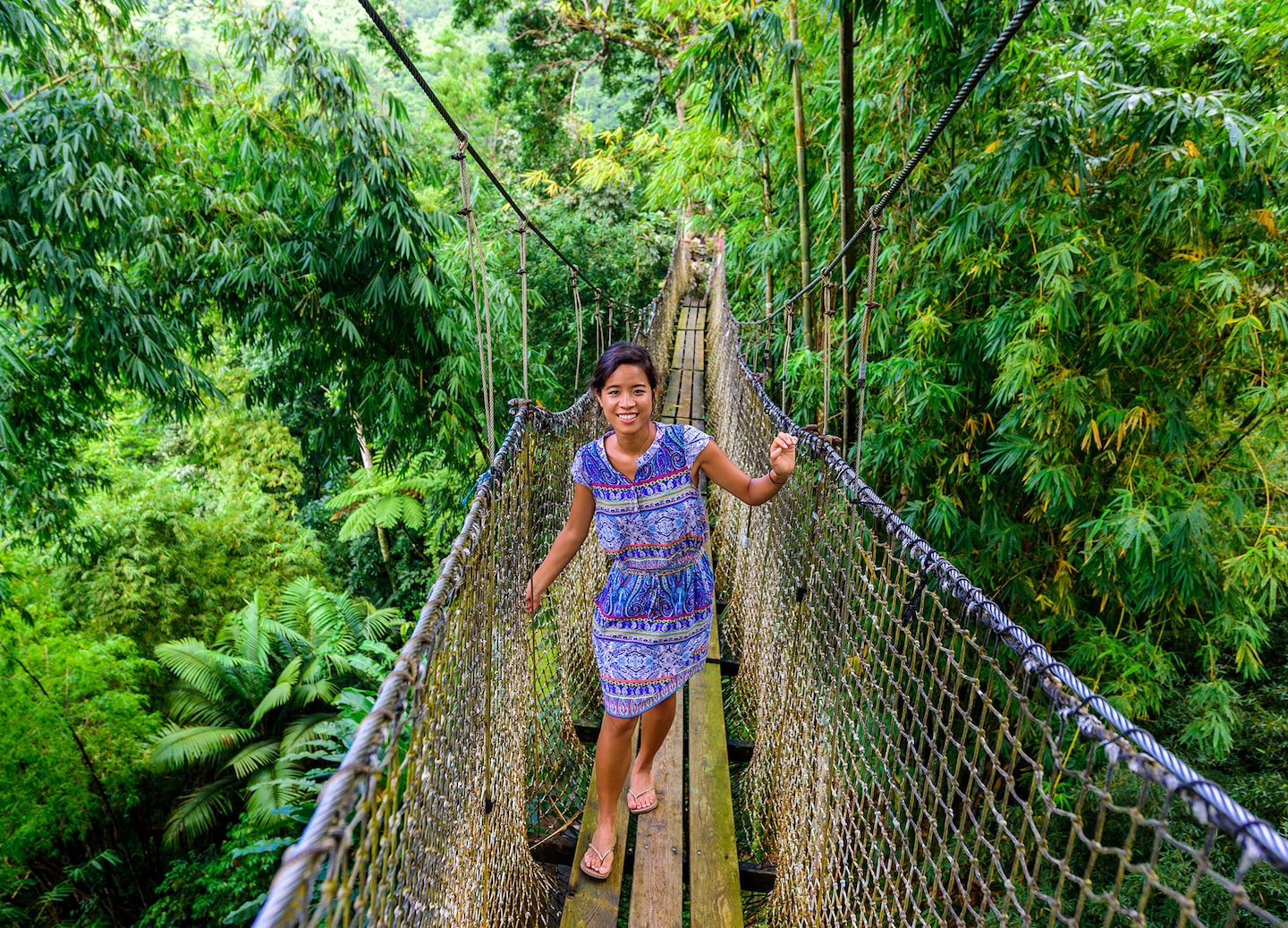 Suspension bridge crossing lush greenery at Balata Botanical Garden. - Fort-de-France, Martinique