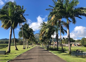 Rum and Beach Tour De Paz