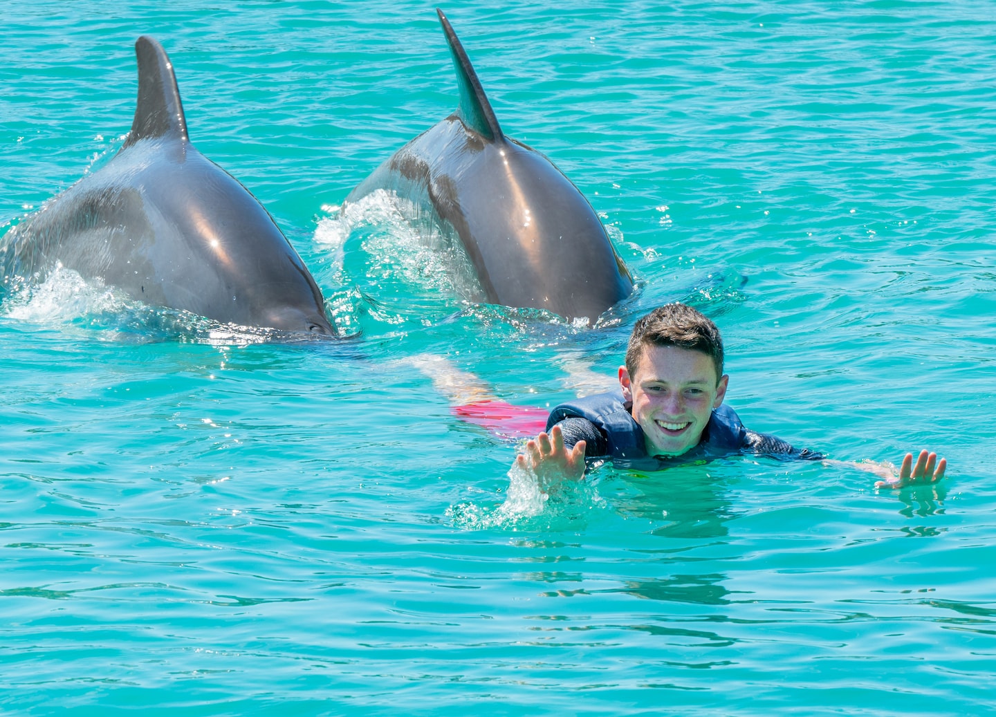 Meet dolphins and sea turtles in interactive sessions, with a focus on marine conservation and family-friendly fun. - George Town, Grand Cayman