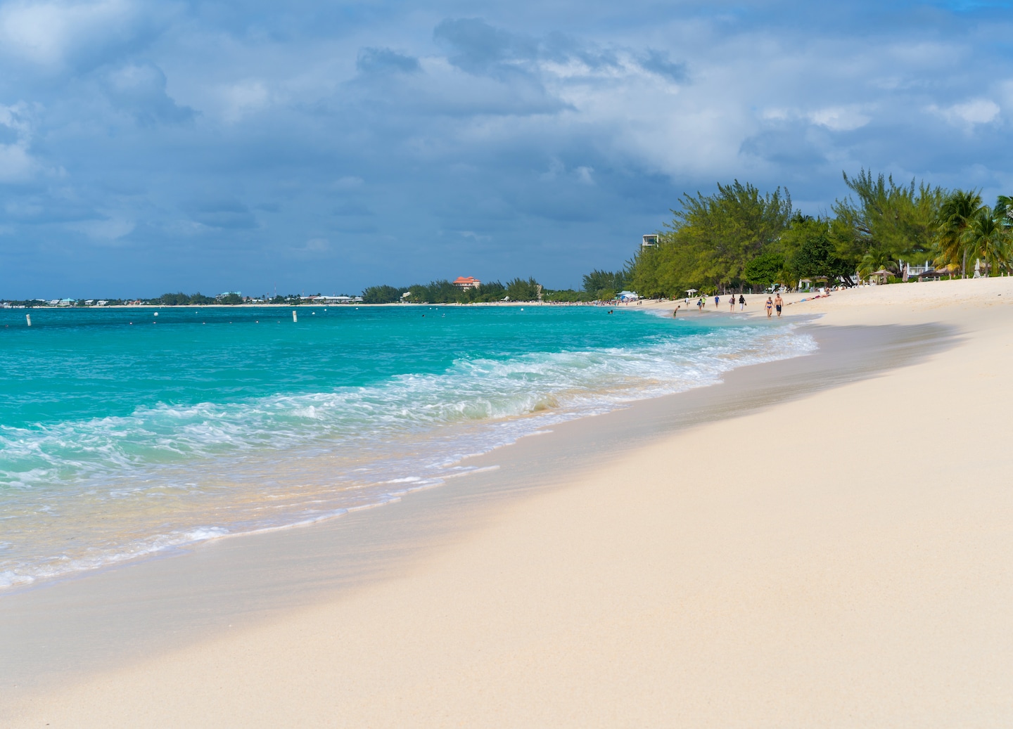 Meet dolphins at Dolphin Discovery, then relax on Seven Mile Beach for family-friendly fun. - George Town, Grand Cayman