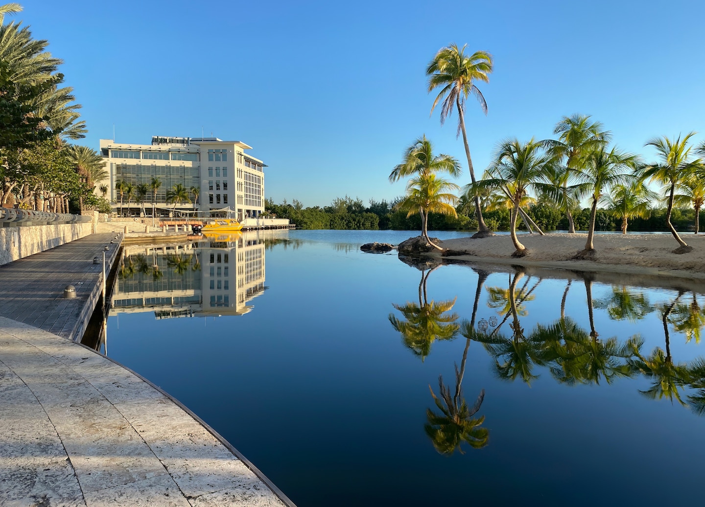 A mangrove kayak tour in Grand Cayman offers peaceful paddling, wildlife spotting, and eco-education. - George Town, Grand Cayman