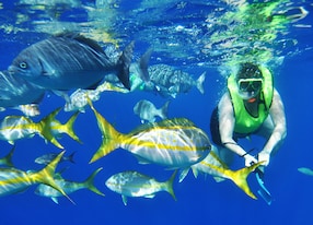 grand turk chukka snorkeling 3