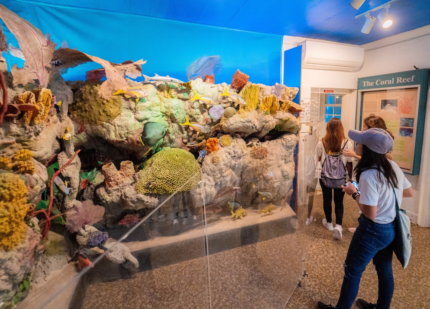 Grand Turk tour explores crafts, museum, gardens, and painting a personalized island artwork. - Grand Turk, Turks & Caicos