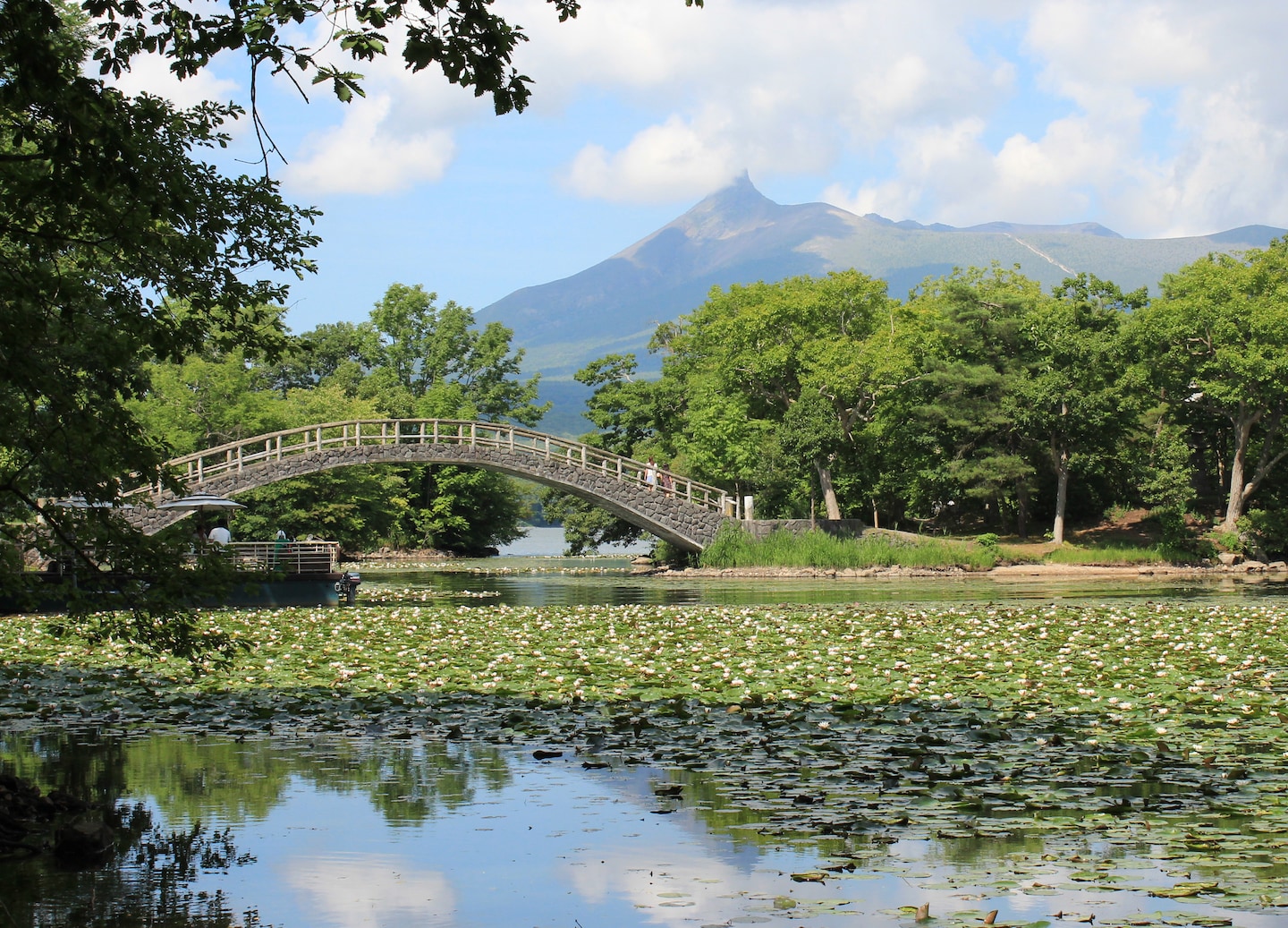 Wooden bridge crosses calm Ōnuma National Park waters. - Hakodate, Japan