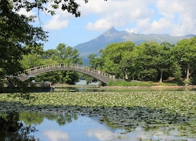 onuma national park bridge