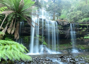russell falls in mount field national park tasmania australia