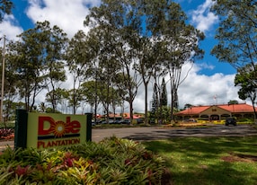honolulu oahu dole pineapple farm tour 3