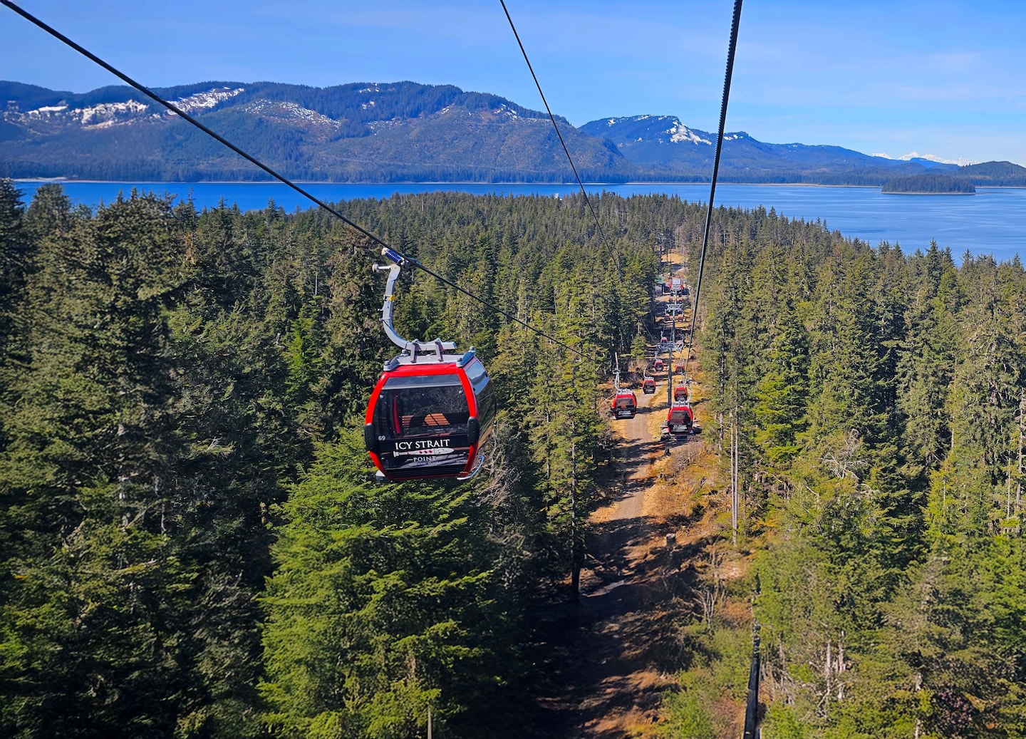 Sky Peak gondola rises above forested slopes. - Icy Strait Point, Alaska