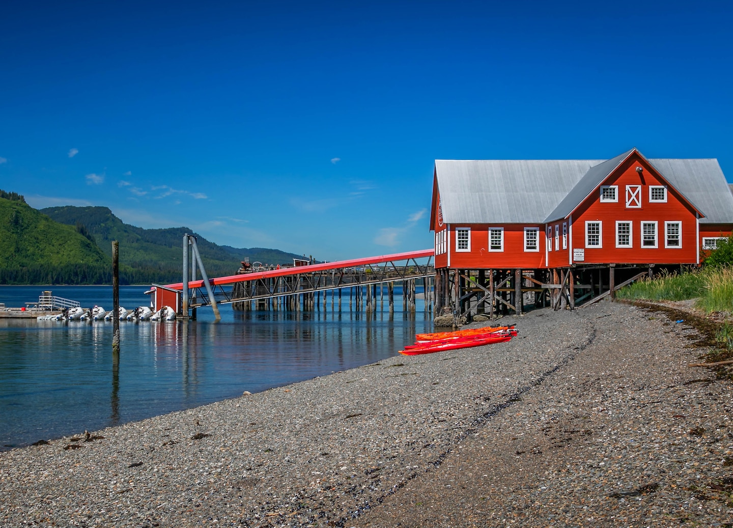 Discover authentic Alaskan cuisine in a hands-on cooking session led by a local fisherwoman. - Icy Strait Point, Alaska