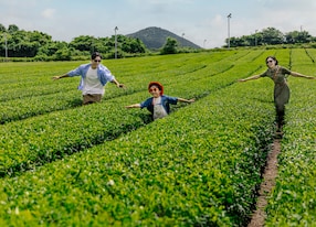Jeju Day Pass Bus West