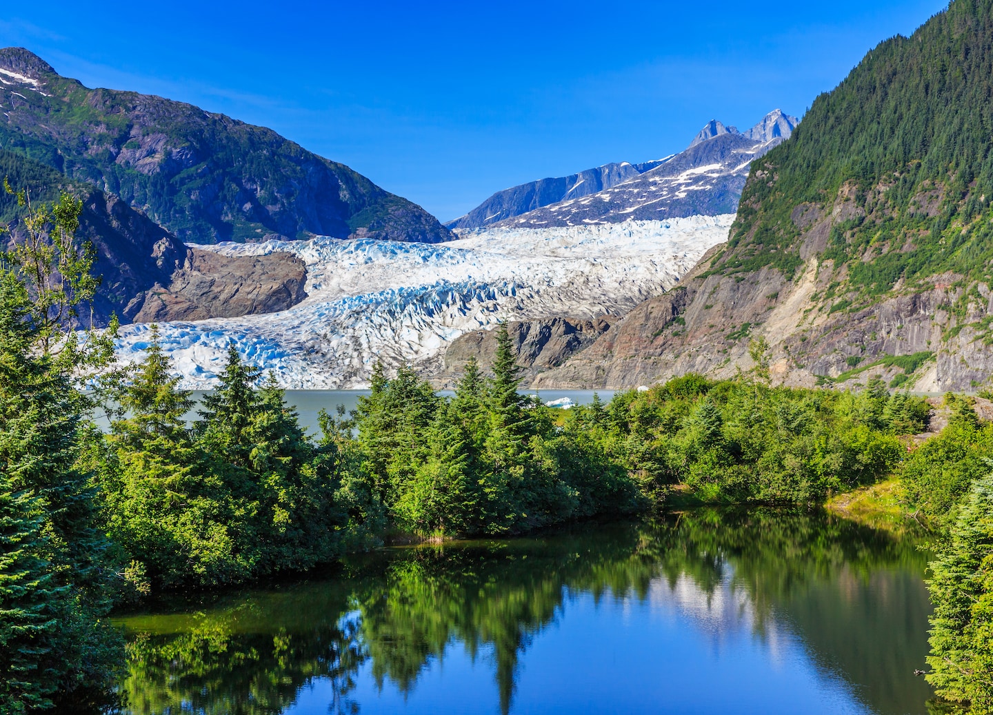 Spot eagles near Mendenhall Glacier and Tongass Forest on guided wildlife excursions. -  Juneau, Alaska