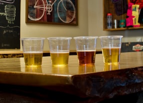bike and brew glacier view beer tasting cups in a line juneau alaska united states