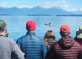 People Watching Orca Juneau