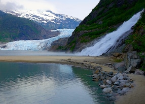 Destination Highlight Mendenhall Glacier Whale Watching and Wildlife Quest Mendenhall Glacier