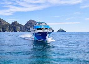 Resurrection Bay Cruise with Airport Drop Off Boat