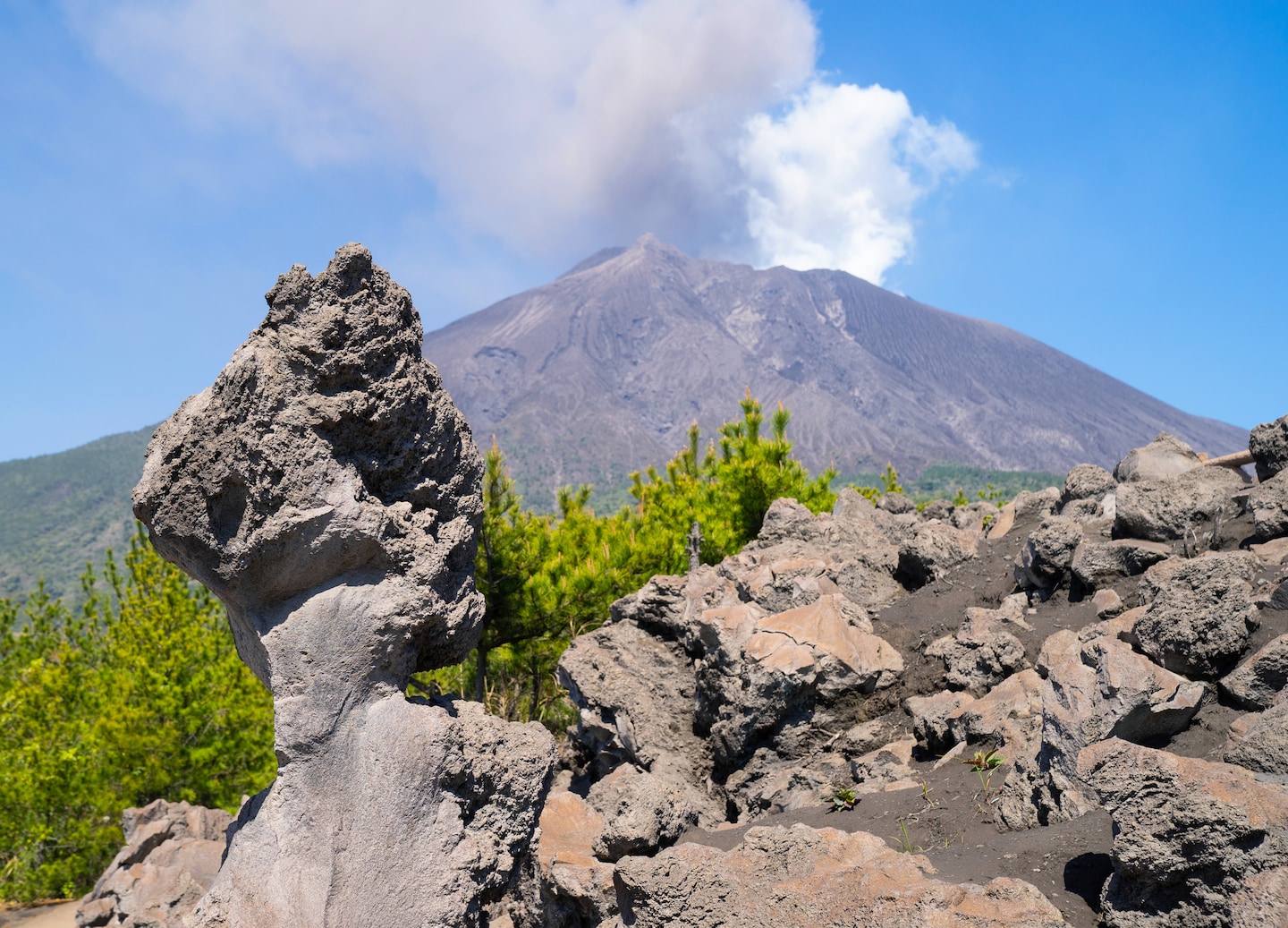 Sakurajima volcano looms over rugged lava fields, viewed from the Arimura Lava Observatory. - Kagoshima, Japan