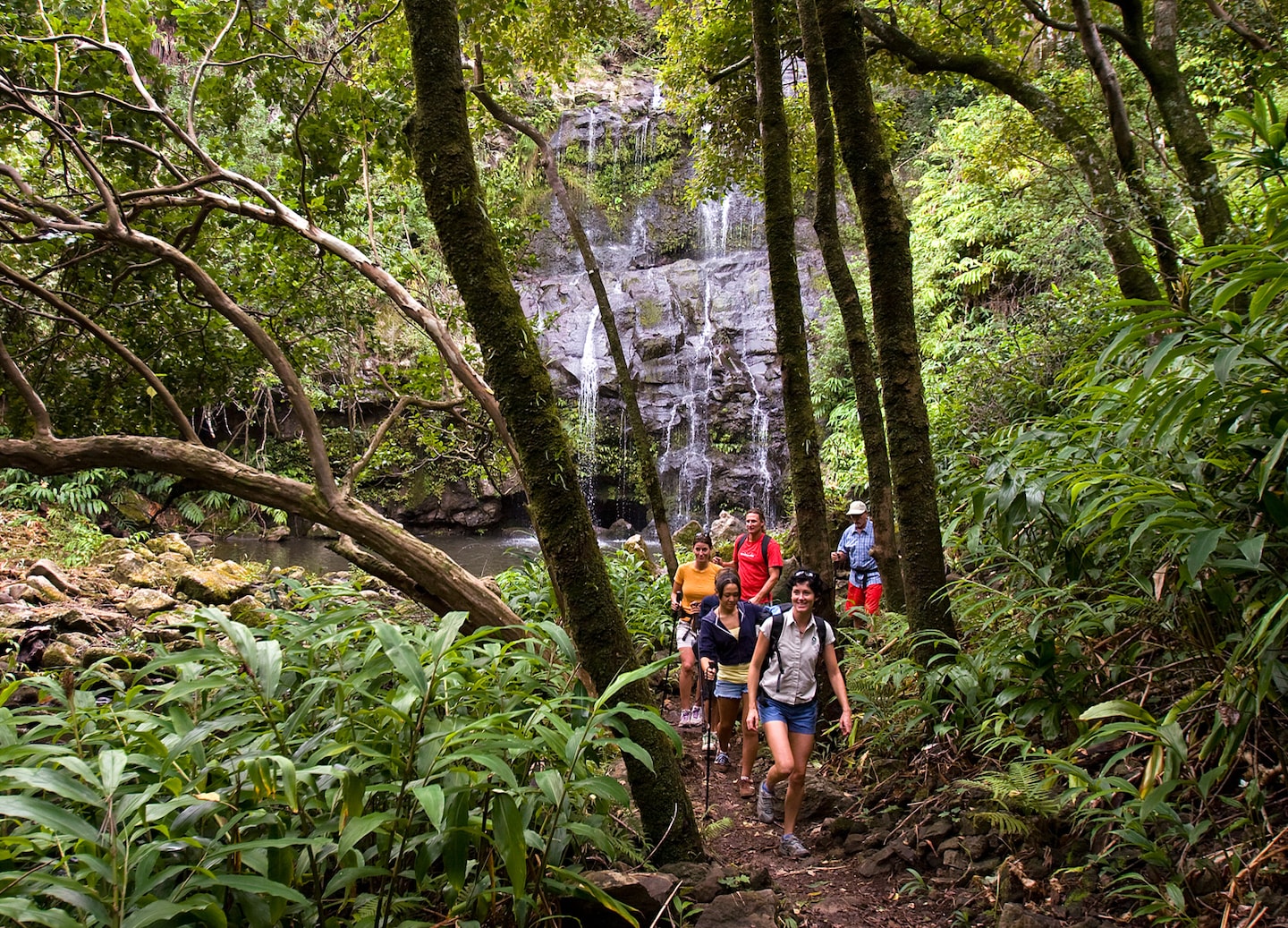 Hikers walk along a forest trail toward a tall waterfall cascading over mossy rock cliffs. - Kailua-Kona, Hawaii