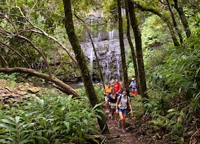 group hiking by waterfall