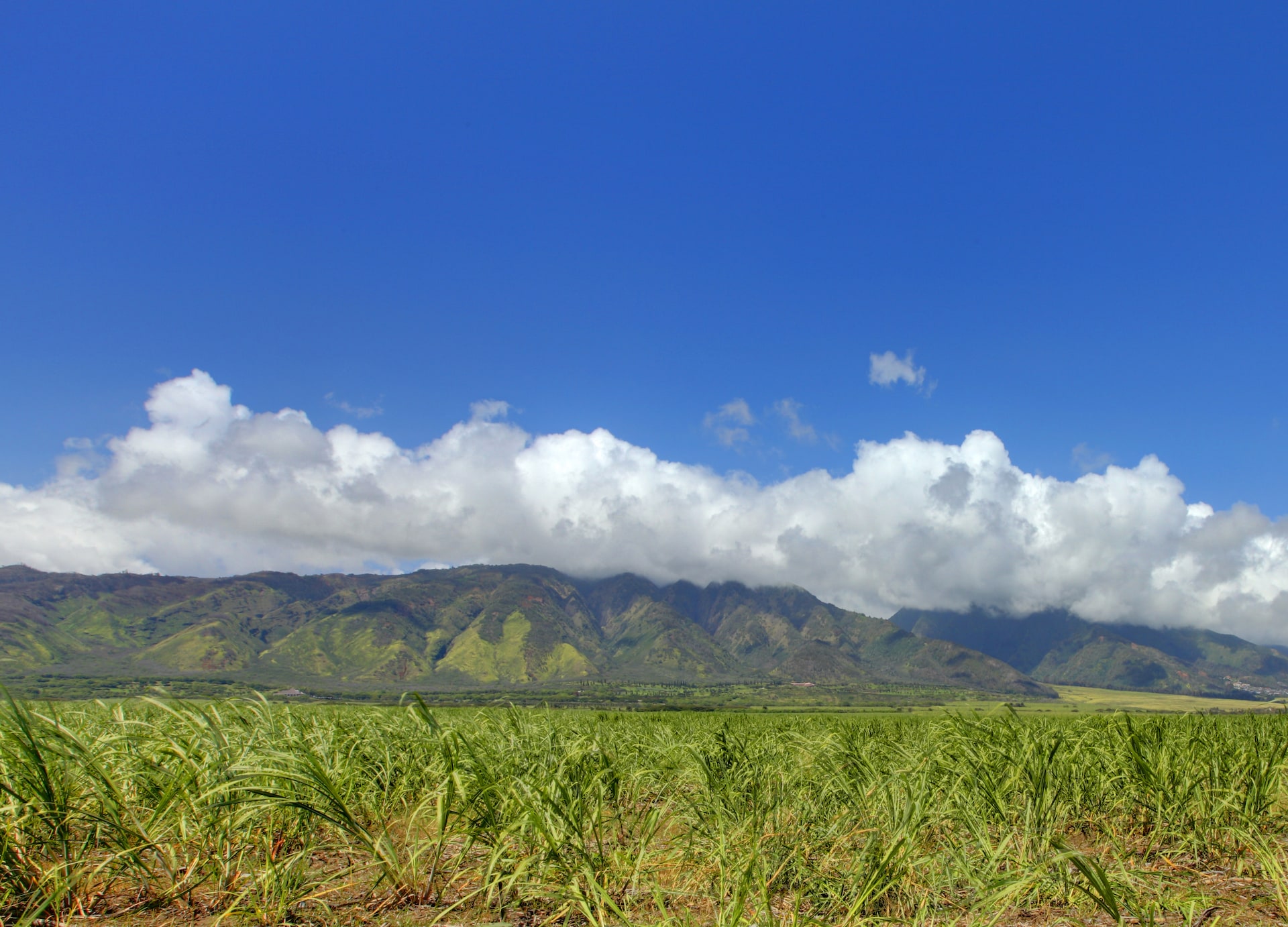 view of mountains