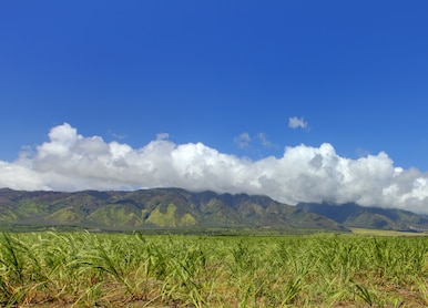 view of mountains