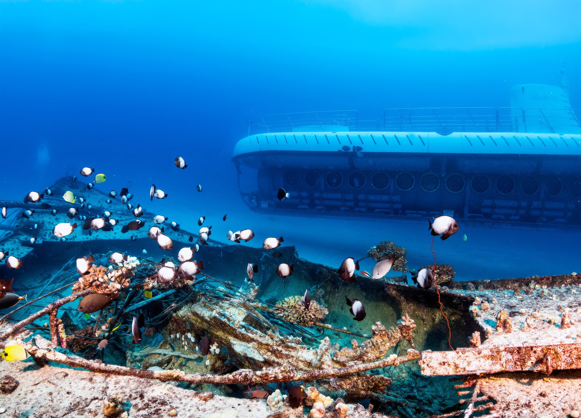 Atlantis Submarine Fish Wreck