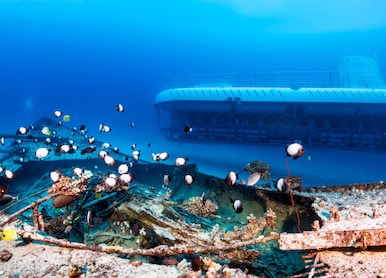 Atlantis Submarine Fish Wreck