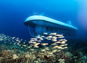 Atlantis Submarine