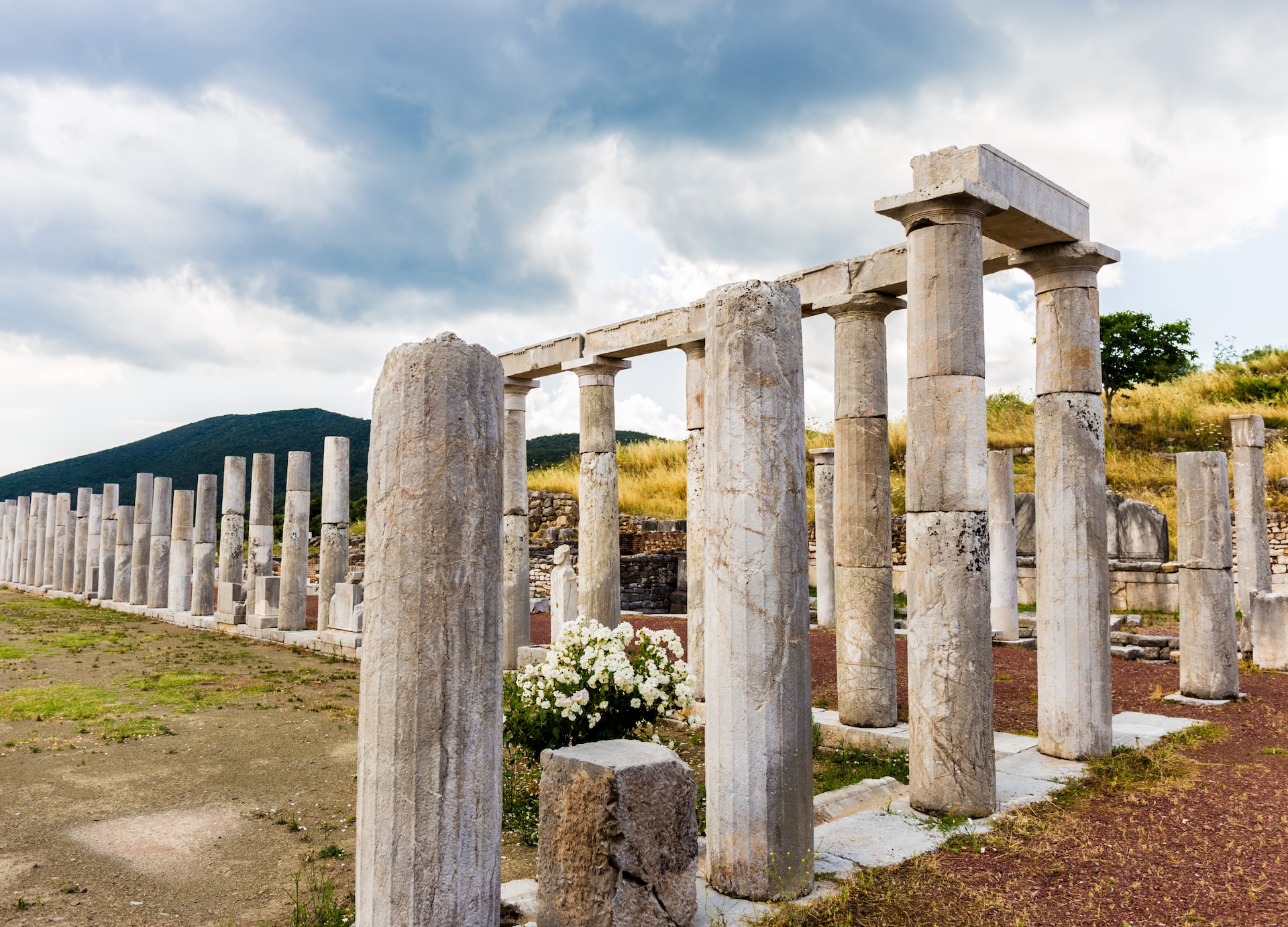 collonade of gymnasium in ancient messina peloponnes greece