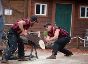 two lumberjacks sawing wood
