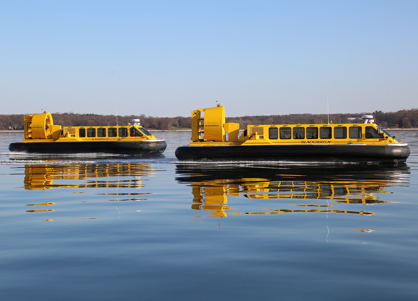 Glide by hovercraft to hidden coves, spotting whales, seals, and eagles. - Ketchikan, Alaska
