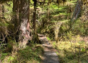 Rainforest Hike and Brew nature path