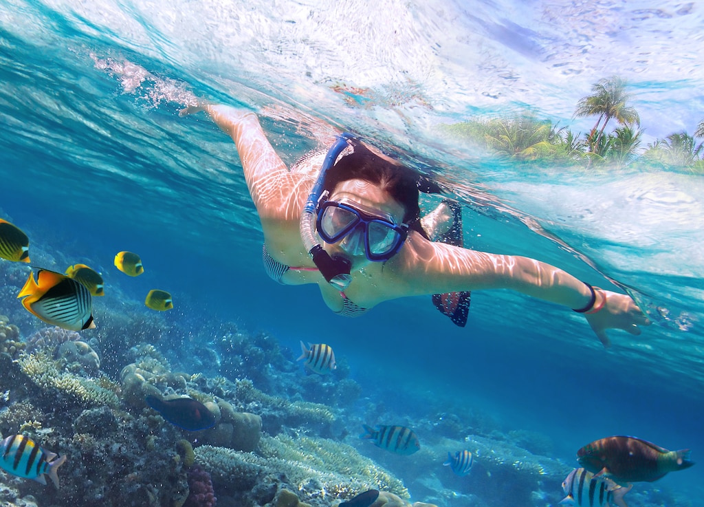 Explore The Best Snorkeling Excursions In Bermuda Discover Underwater explore-the-best-snorkeling-excursions-in-bermuda-discover-underwater