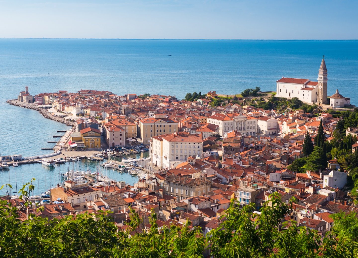 Piran’s pastel old‑town buildings sit along the Adriatic, rising above a calm waterfront. - Piran, Slovenia