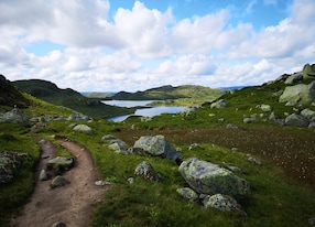 norwegian mountain trail in summer setesdal