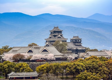 kumamoto castle with cherry blossoms in spring kumamoto japan