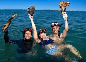 Baja Ocean Wonders and Scalloping Experiene Group Showing Scallop