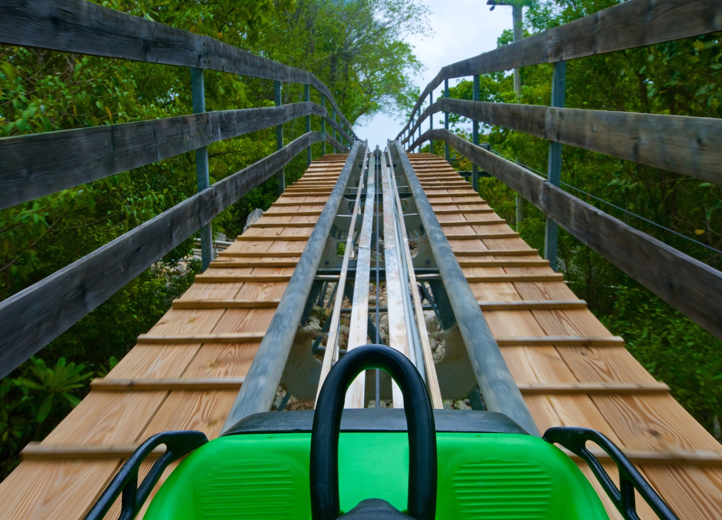 Control your speed on Labadee’s Dragon’s Tail Coaster, racing through lush forest with scenic views. - Labadee, Haiti