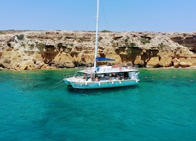 Coastal Catamaran Cruise and Swim