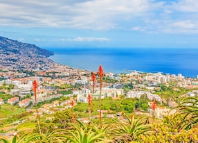 funchal madeira view over the capital city of the island towards harbor view from pico dos