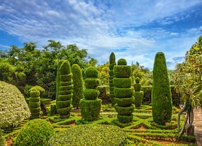 botanical garden monte funchal madeira island portugal