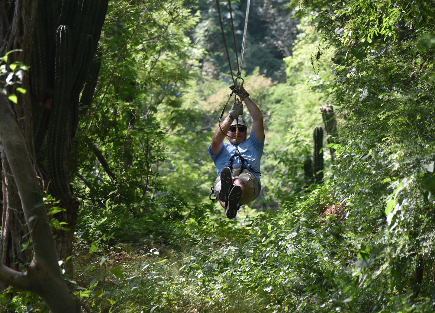 Sierra Madre zipline tours deliver thrilling rides and sweeping views of Mazatlán’s lush mountain landscapes. - Mazatlán, Mexico