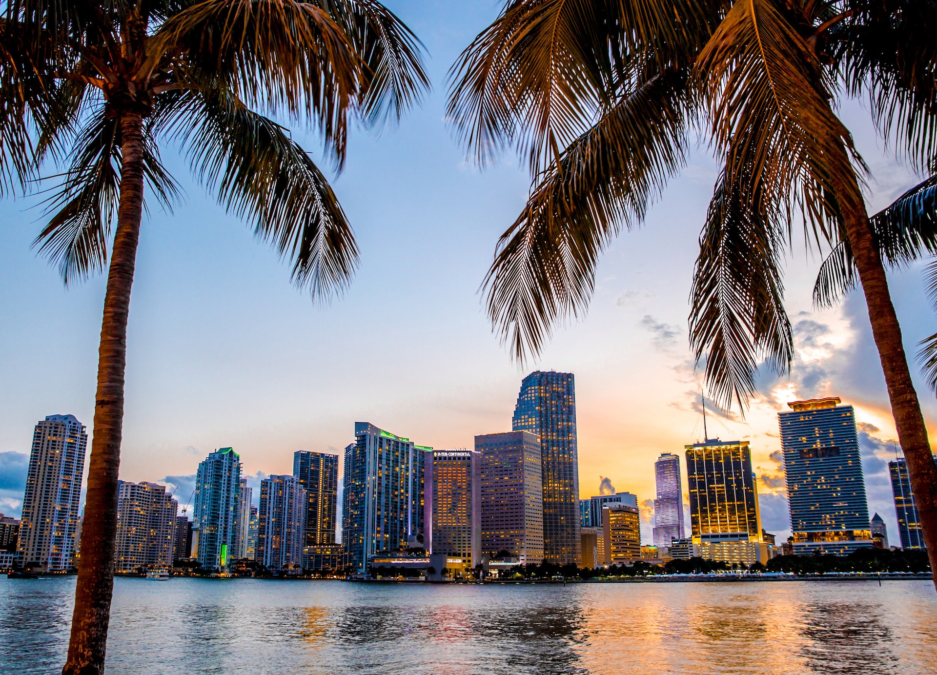miami florida skyline and bay at sunset seen through palm trees